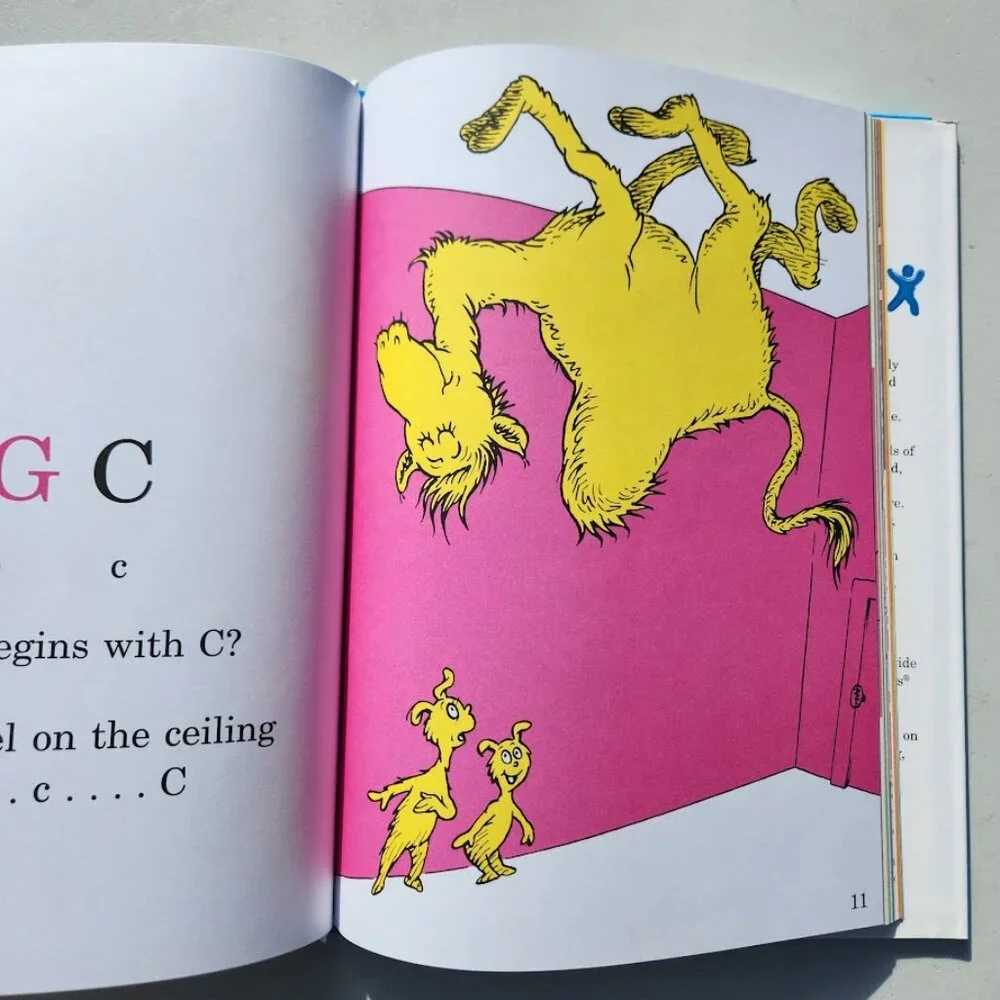 Dr. Seuss new cat